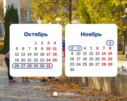 Осенние каникулы в школах предложили провести с 26 октября по 3 ноября