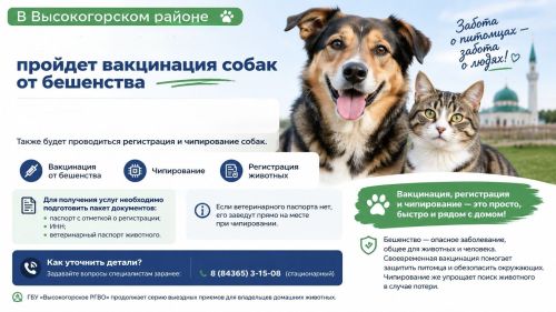 Вакцинацию и чипирование собак проведут в Высокогорском районе