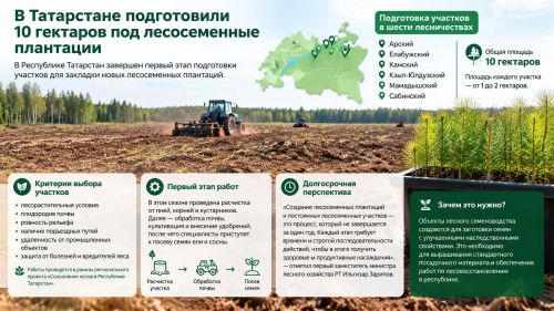 В Татарстане подготовили 10 гектаров под лесосеменные плантации