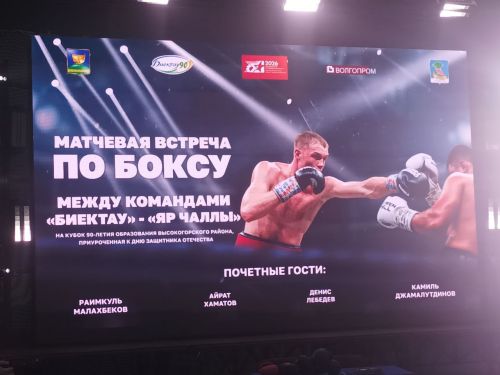 Чемпион мира Денис Лебедев посетил турнир в селе Высокая Гора