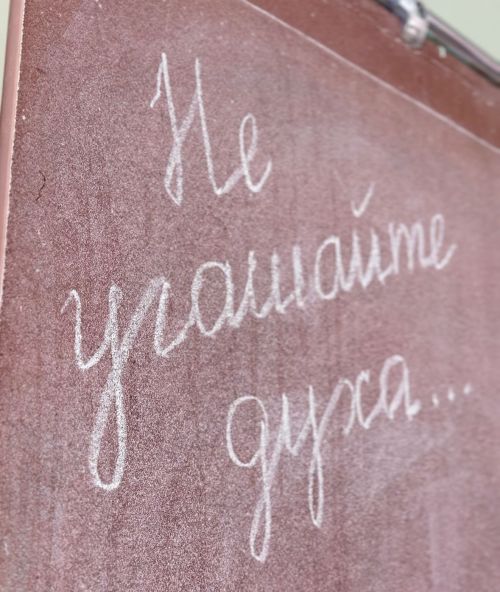 Лирика Боратынского оживает на районной литературной конференции