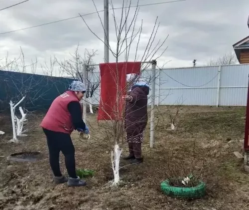 Соцработники помогают навести порядок в домах и дворах