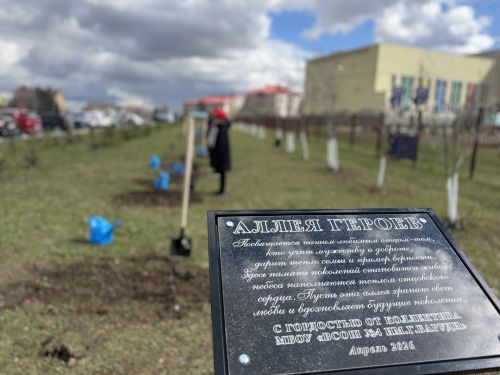 В школе Высокогорского района открыли Аллею героев