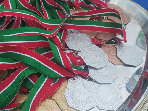 В Бирюлях 1 мая стартовала легкоатлетическая эстафета (фото)