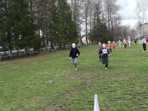 В Бирюлях 1 мая стартовала легкоатлетическая эстафета (фото)