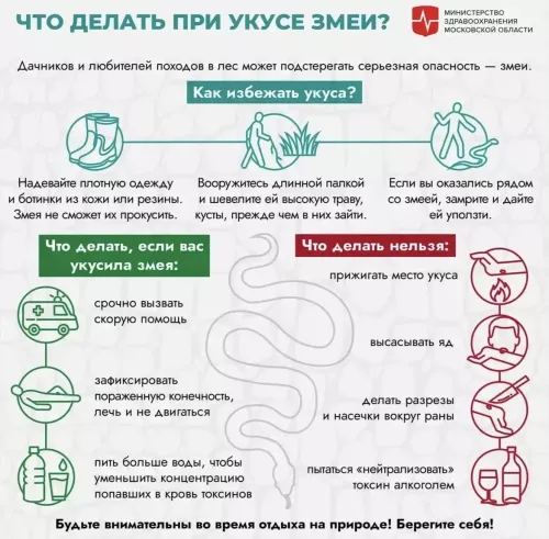 Безопасность детей летом: советы от районного педиатра