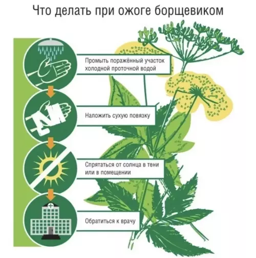 Безопасность детей летом: советы от районного педиатра