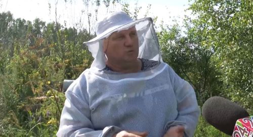 Как один улей привёл Мансура Шакирова к пчелиному царству