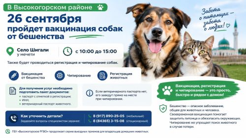 В Высокогорском районе 26 сентября пройдет вакцинация собак от бешенства