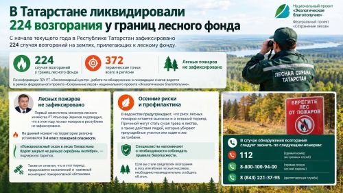 В Татарстане ликвидировали 224 возгорания у границ лесного фонда