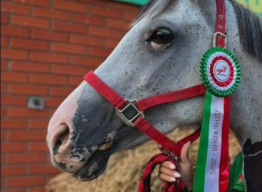 Высокогорцы стали призерами юбилейного «Дня коня» в Арске