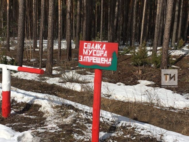 В лесах Татарстана проводятся рейды в рамках Санитарно-экологического двухмесячника