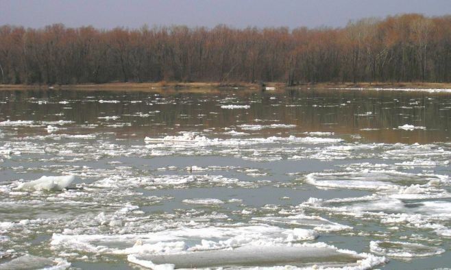 Вода в Куйбышевском водохранилище у Верхнего Услона находится в двух метрах от критической отметки
