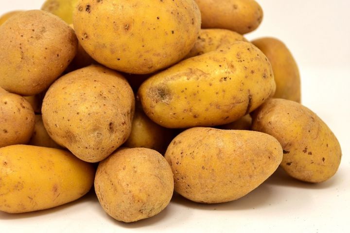 В 14 районах Татарстана выявлено карантинное заболевание картофеля