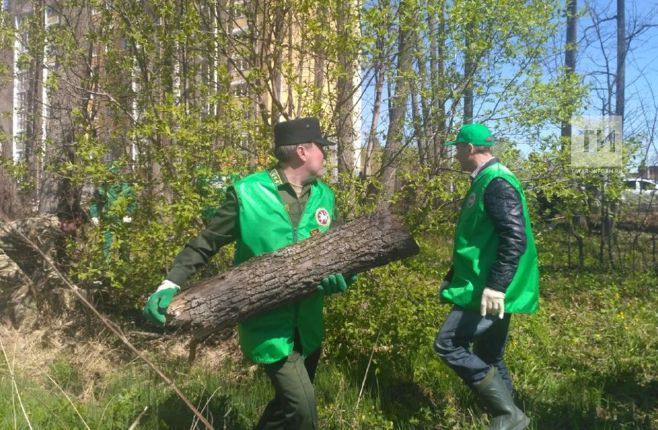 По всему Татарстану стартовали лесные субботники с участием представителей власти