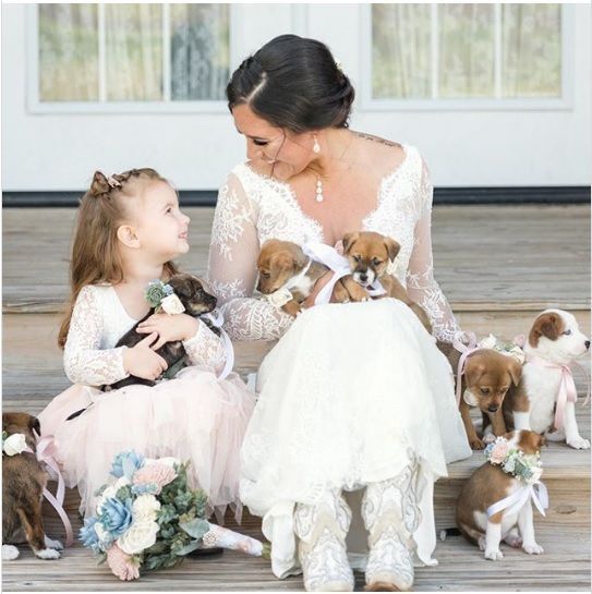 Невеста из США принесла на свою свадьбу щенят вместо цветов