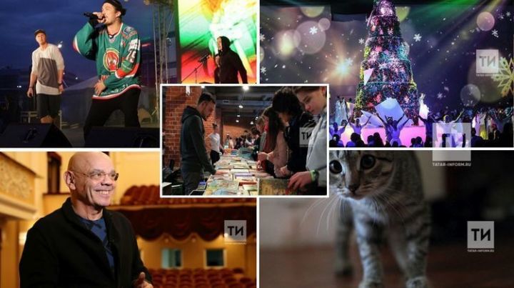13 – 15 декабря: Елка с котиками «Новогоднее кошкино чудо» и ярмарка новогодних подарков