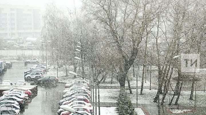 В начале новой недели в Татарстане прогнозируется мокрый снег