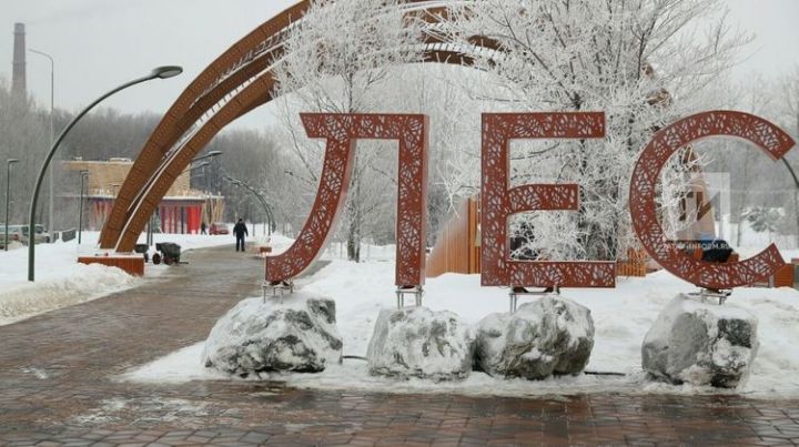 Большой снежный лабиринт откроется в Горкинско-Ометьевском лесу