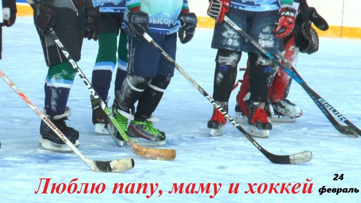 В Высокогорском районе пройдет семейный фестиваль «Люблю папу, маму и хоккей»