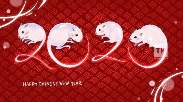 Китайский Новый год: как отметить в Казани, что съесть и где смотреть поздравление главы КНР