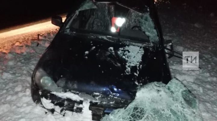 Ночью в Сабинском районе легковушка сбила лося, женщина-водитель госпитализирована