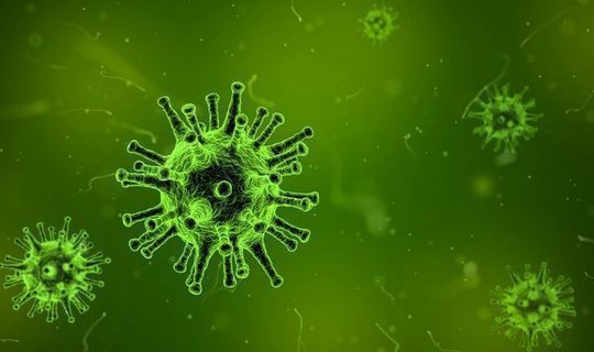 Роспотребнадзор предупредил о подрывающем защиту от коронавируса факторе