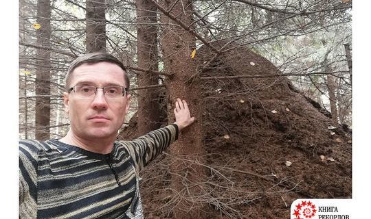 Журналист ИА «Татар-информ» обнаружил самый большой муравейник в России
