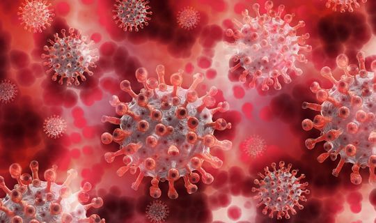 Врач-иммунолог назвал страну, где пандемия коронавируса закончится раньше других