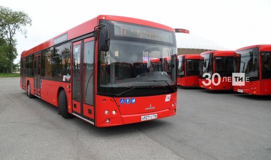 В Татарстане число автобусных перевозчиков с лицензиями возросло в четыре раза