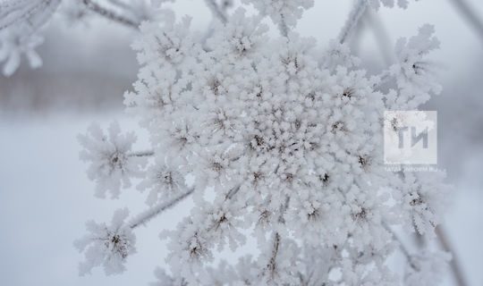 В Татарстане на выходных ожидается до 30 градусов мороза