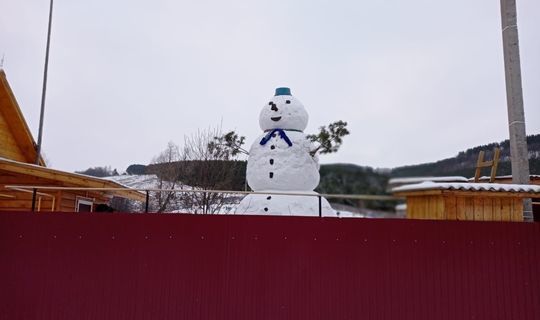 В мамадышском селе Малмыжка слепили шестиметрового снеговика-гиганта