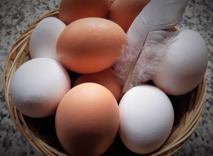 Почему одни яйца желтые а другие белые