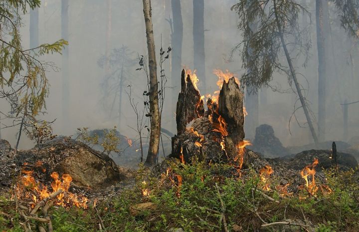 С 10 апреля на территории Татарстана вводится особый противопожарный режим