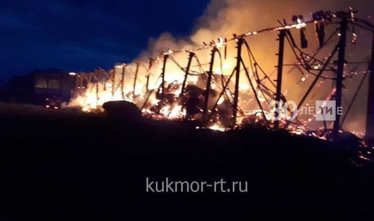 500 тюков сена сгорели ночью в Татарстане