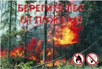 Штормовое предупреждение о высокой пожарной опасности лесов дает ЕДДС Высокогорского района