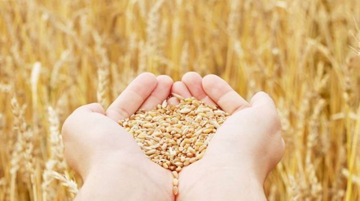 Аграрии Татарстана собрали второй миллион тонн зерна нового урожая