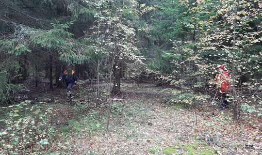 Спасатели нашли в лесу в РТ женщину с детьми, которые собирали грибы и потерялись