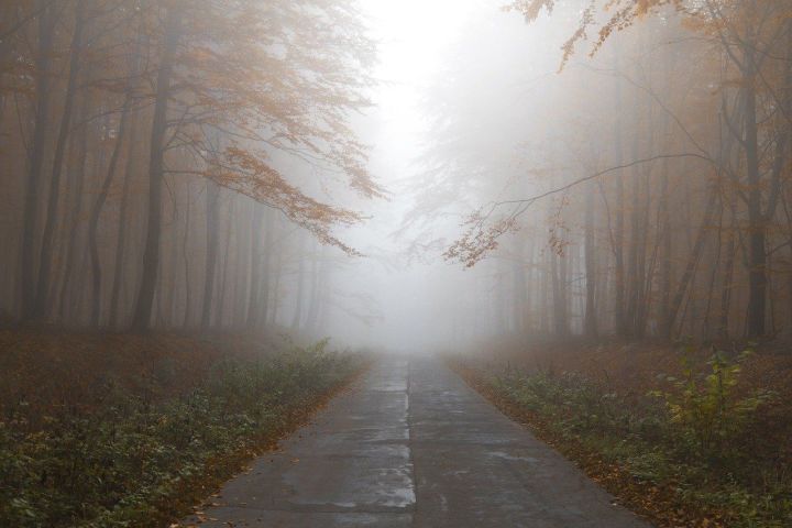 4 сентября на территории Республики Татарстан ожидается туман и заморозки -0˚