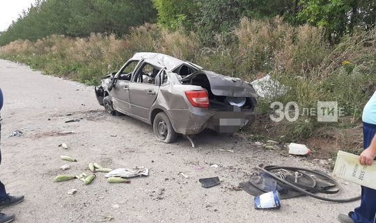 Лихач на «Ладе» попал в больницу, вылетев на скорости в кювет в Татарстане