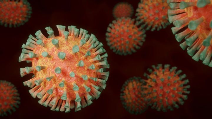 Биолог: Прививка от Covid при очень высоком титре антител может вызвать обратный эффект