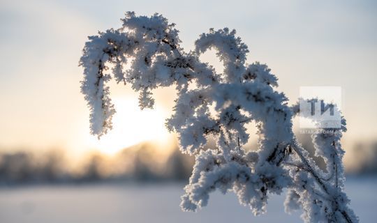 «Холод февраля компенсирует жаркий июль»: профессор КФУ об аномальной погоде в Казани