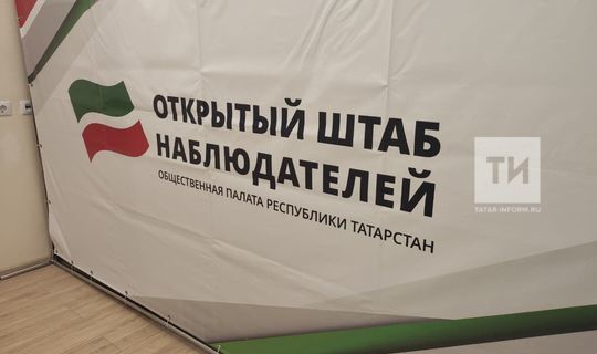 Общественная палата РТ подготовит к выборам в сентябре более 5 тыс. наблюдателей