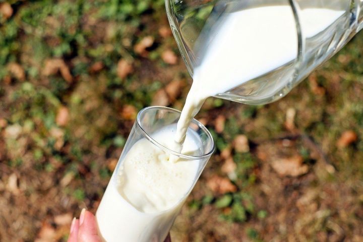 Россиян предупредили о риске передачи опасного заболевания через молоко