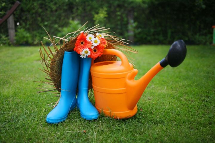 Что делать в саду и огороде: памятка на все лето для дачников