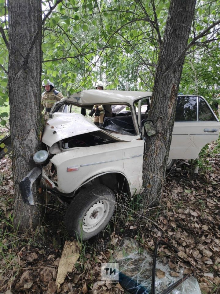 В Татарстане легковушка вылетела с трассы и въехала в дерево, водитель в больнице