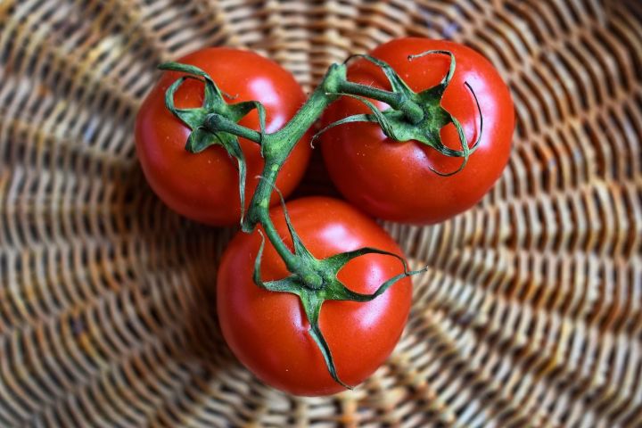 Как правильно пасынковать томаты