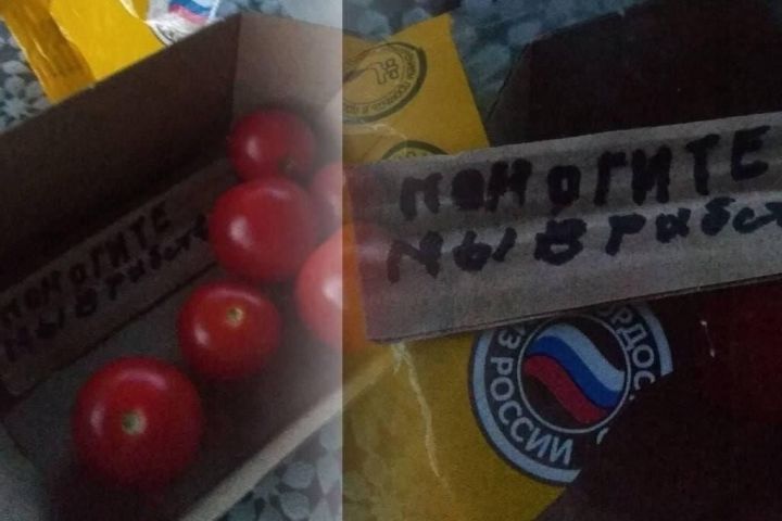 В коробке с помидорами нашли записку с призывом спасти из рабства