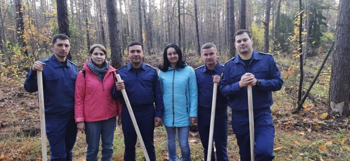 Посадка деревьев прошла в рамках всероссийской акции «Сохраним лес»