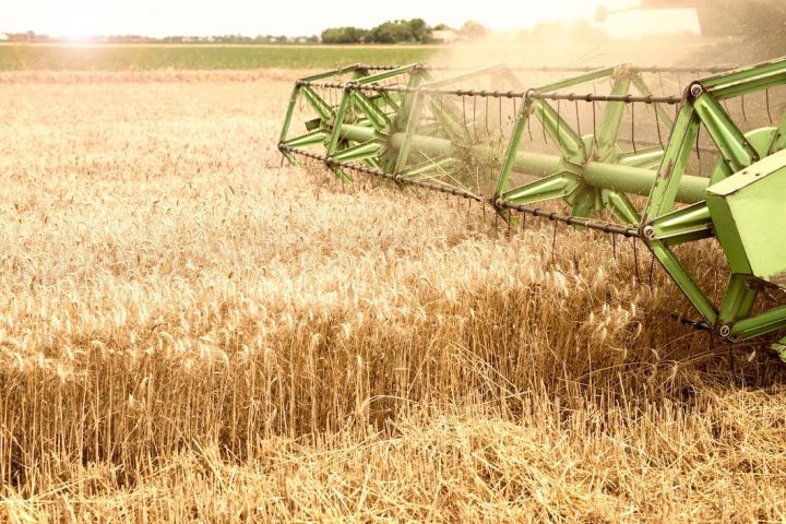 Аграрии предупредили о рисках для урожая из-за новых квот на импорт семян